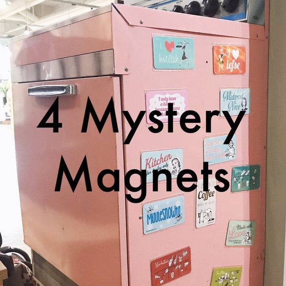 Mystery Pack of 4 Magnets
